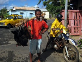 Chicken selling